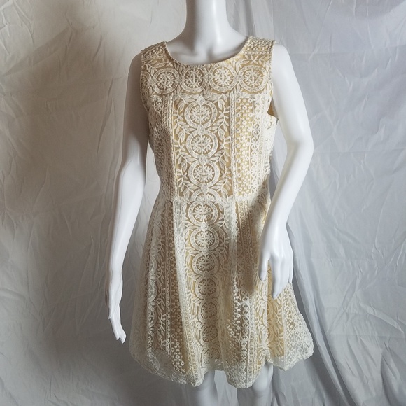 Altar'd State Dresses & Skirts - Altar'd State fully lined lace dress